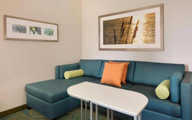 SpringHill Suites Tuscaloosa by Marriott