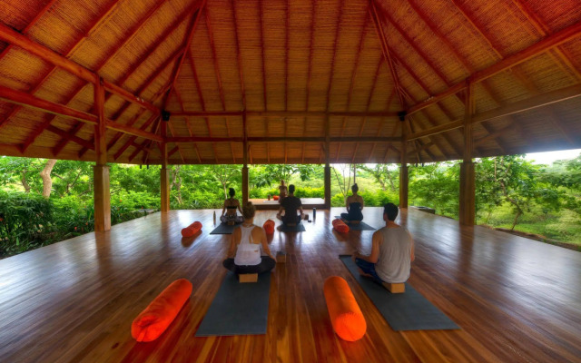 Bodhi Tree Yoga Resort