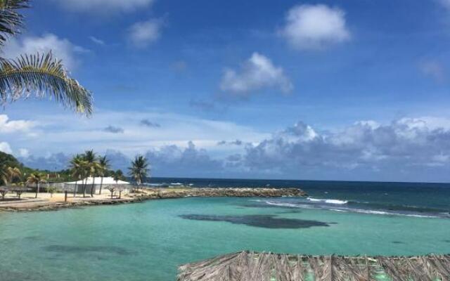 Studio 1608 Fred Manganao