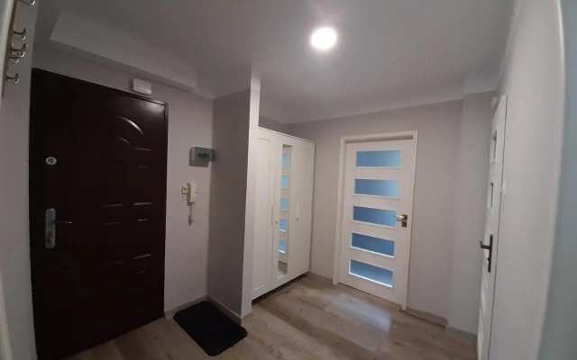 Zielony Apartament, Kielce, Targi, Centrum