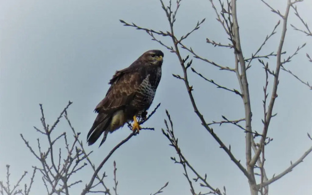 Ferienhaus mit 2 FeWo in Mecklenburg