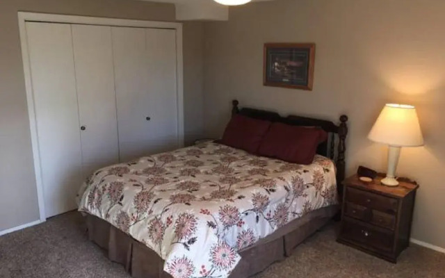 Priceless Black Hills View