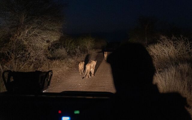 Amani Safari Camp