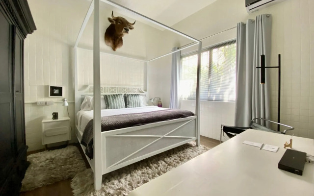 Pug Seal Polanco Anatole France