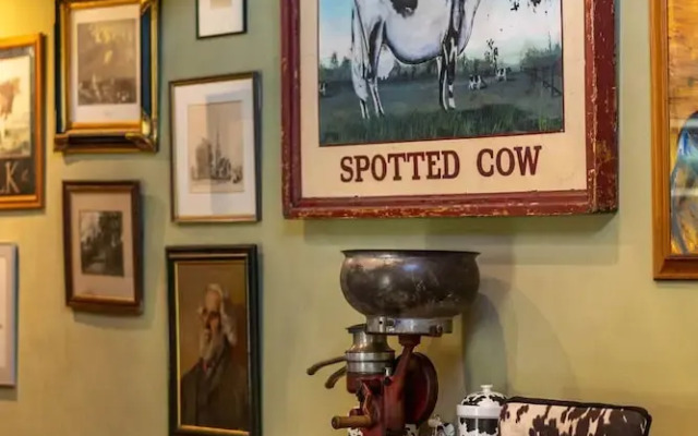 The Spotted Cow City Fringe Pet-friendly