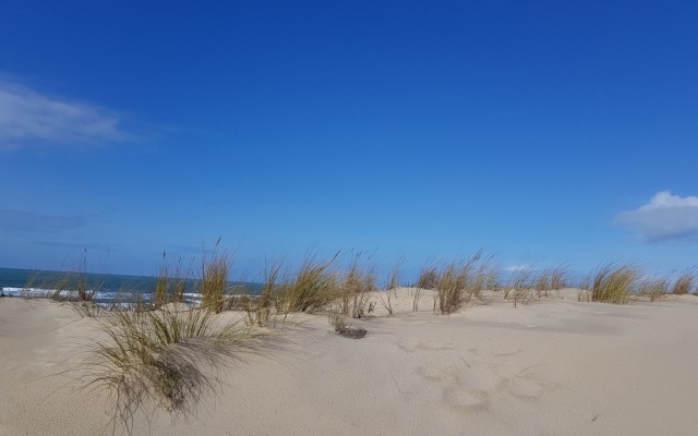 La Jenny, Naturist Resort