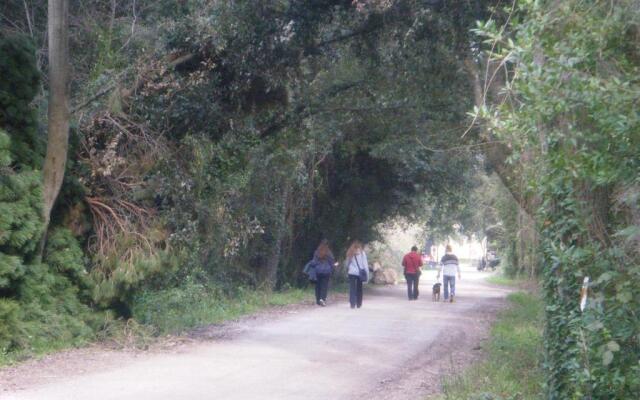 Vacanze a Viareggio
