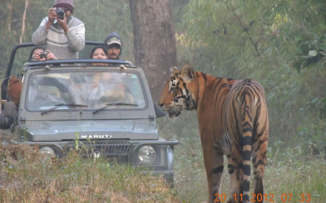 Windsor Tiger Resort
