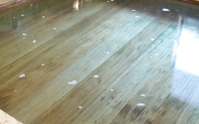 Daitoku Hotel Ryokan