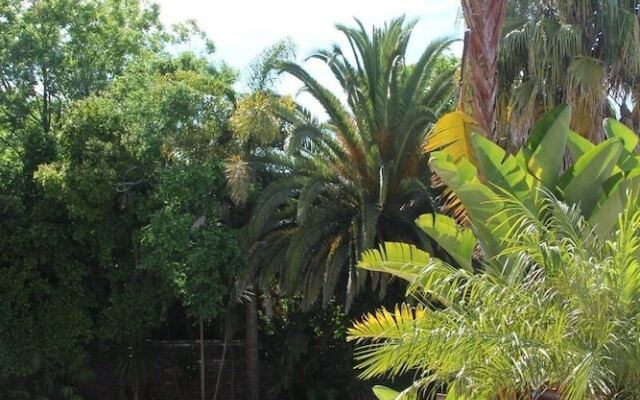 Dark Chocolate Guest House