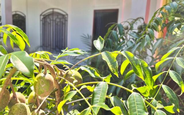 Natural Experience House