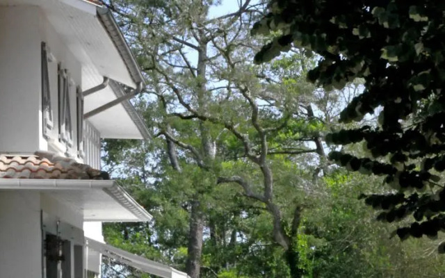 Villa de lEtang Blanc