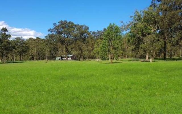 Kangaroo Cottage - cute Accom in bushland setting