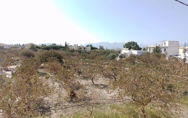 Miranta Hotel - Apartments & Studios