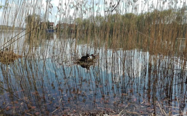Mazury Mrągowo Apartament