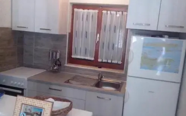 House Rhapsody In Blue