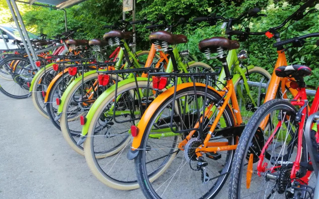 Dormio Hotel Obertraun