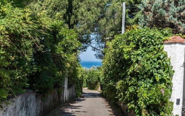 B&B La Magnolia
