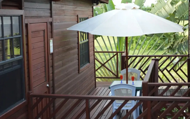 Yellow Bird Apartment