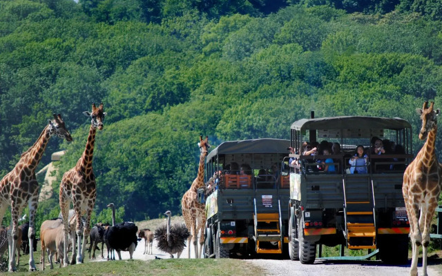 Port Lympne Reserve - Port Lympne Hotel