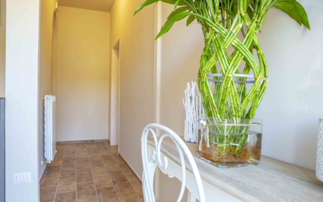 La Stella dei Sibillini