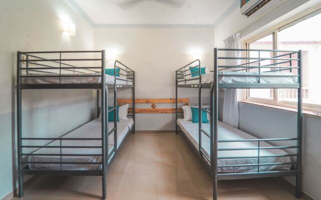 Piggy Hostel Arambol