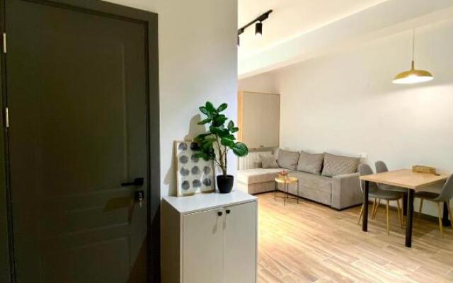 Snow Forest Bakuriani Apartment 10