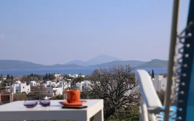 Important Group Villas Ortakent