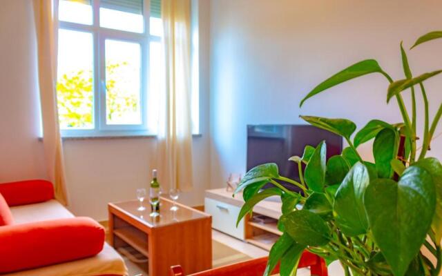 Apartment Botic