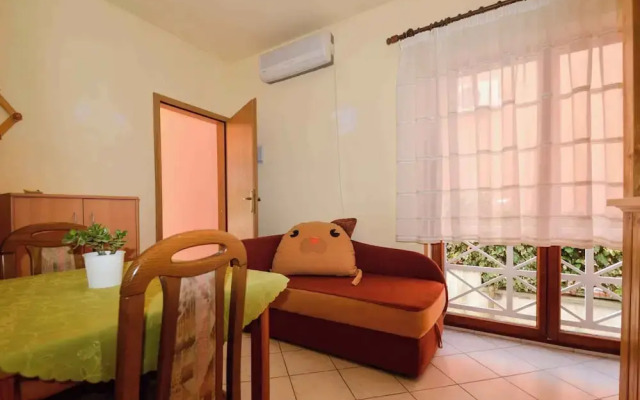 Apartments Pjescana Uvala/istrien 11166