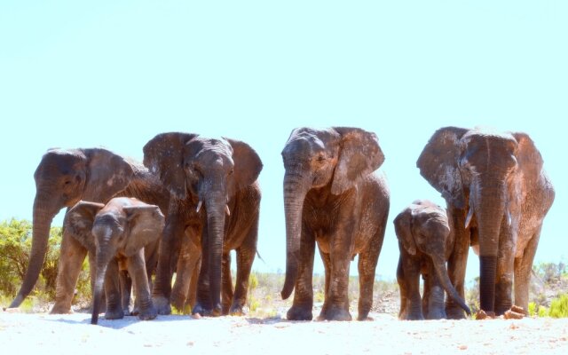 Elephants Lodge - Bellevue Forest Reserve