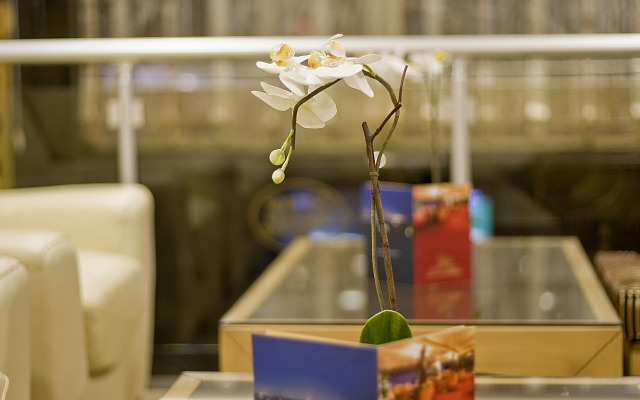 Park Star Hotel Taksim