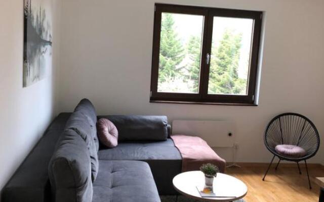Vila Irina Apartman 8