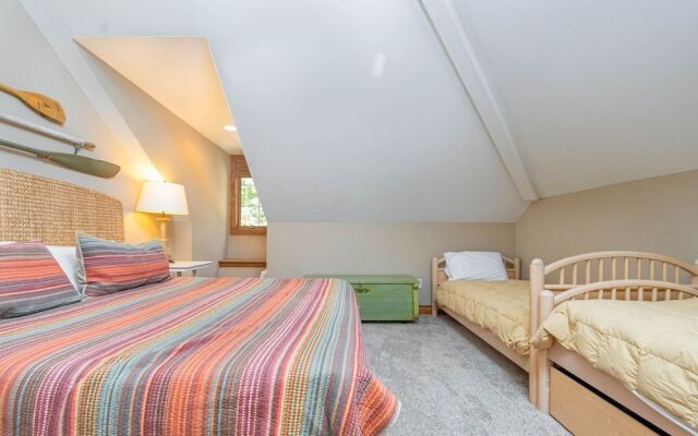 Stone Mountain Vista