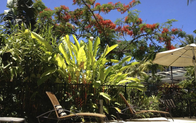 Port Douglas Apartments - Adults Only Oasis