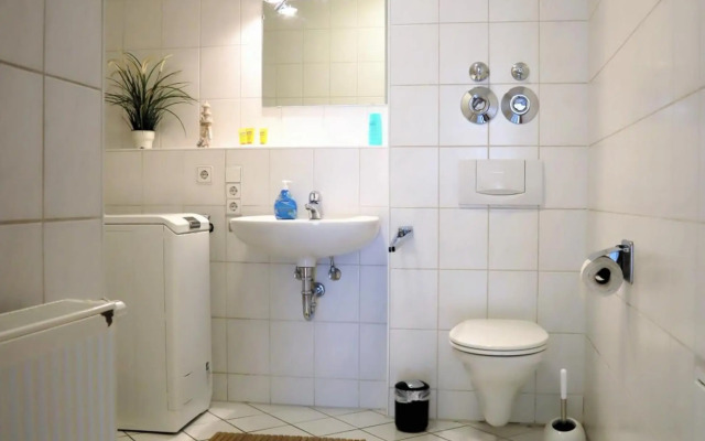 Exklusive Wohnung mit Dachterrasse in Schleußig