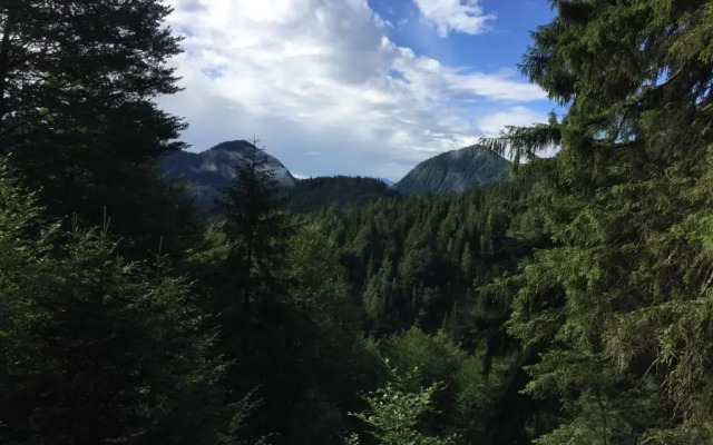 Ferienwohnung Almflair Chalet