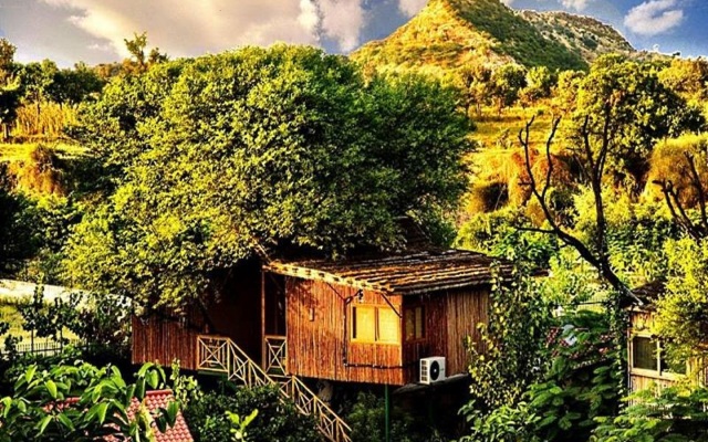 The Tree House Resort