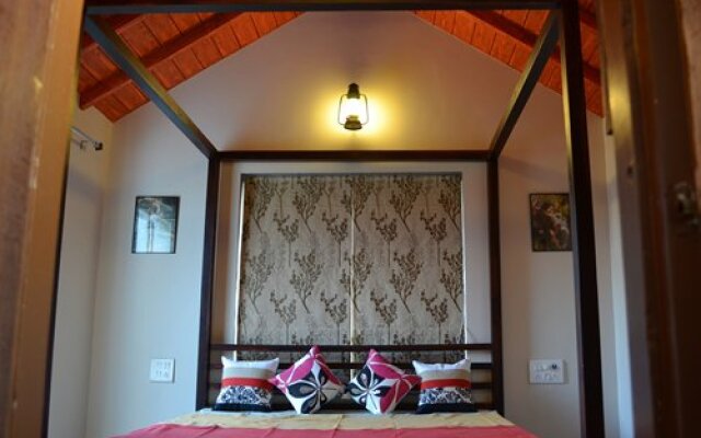 Lion's Den Gir