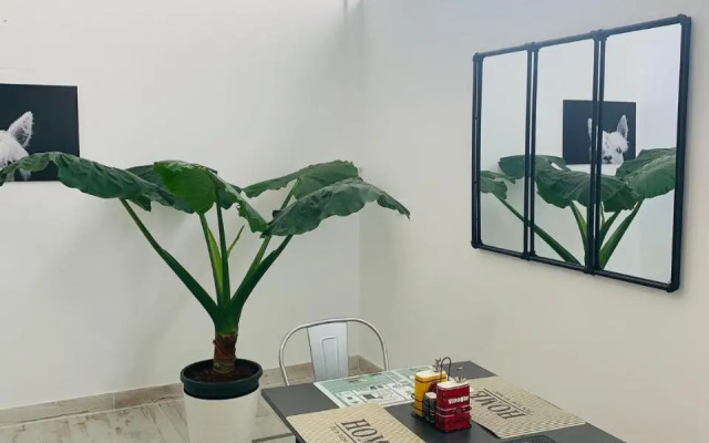 Coco Homes