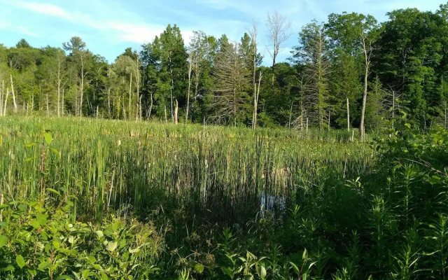 Whistler's Inn Bed & Breakfast