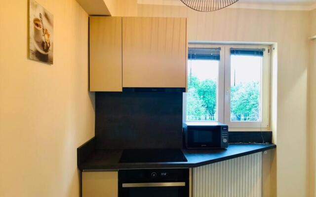 Luxury Ultra Central Apartment with the Best Cathedral View Vic7G-13