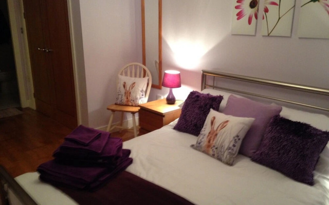 Stunning Spacious City 2 bedroom  Apartment