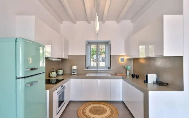 La Vitalite Luxury Villa Mer in Paros