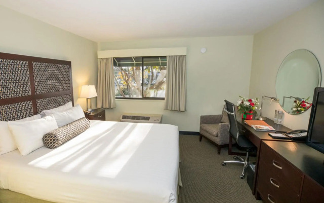 Maple Tree Inn