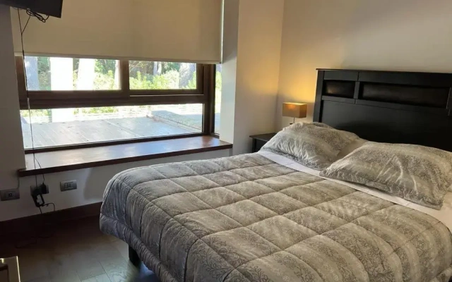 PUCON HOUSE - Lake Access & Near Ski Center