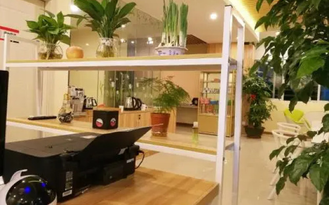 The Olive Tree Capsule Hostel