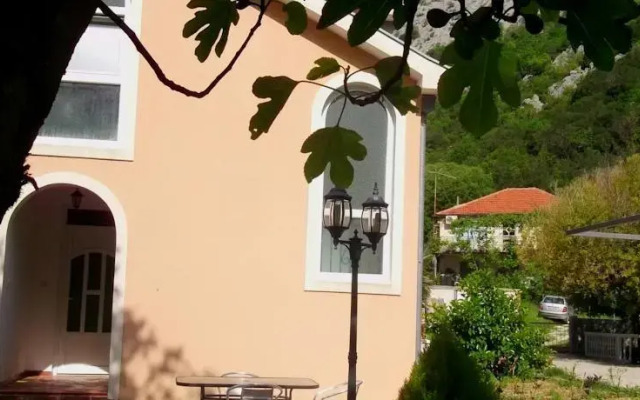 Apartmani MG
