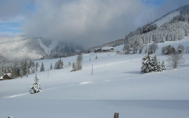 Splendid Chalet In Hohentauern With Whirlpool For 140