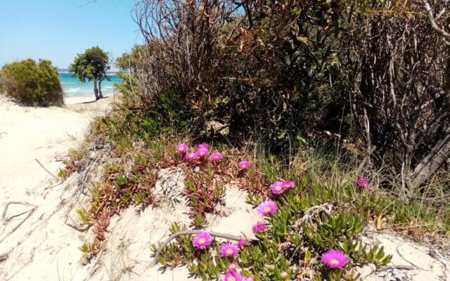 Residence Orsa Minore